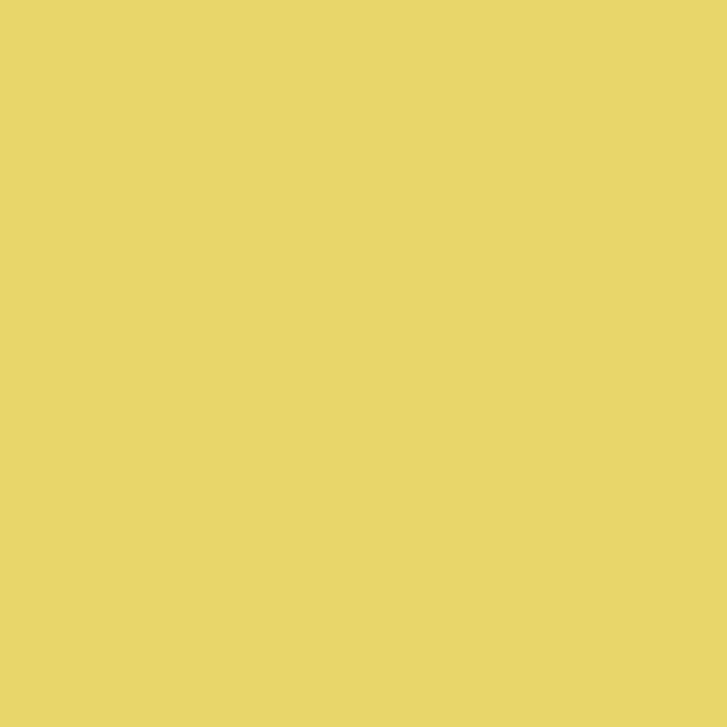 Hansa-yellow-background-image.webp